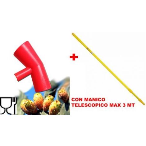 RACCOGLI FICHI D'INDIA COGLIFRUTTA MANICO TELESCOPICO RACCOLTA FRUTTO 31754/1