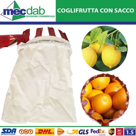 RACCOGLI FRUTTA Ø 10 cm