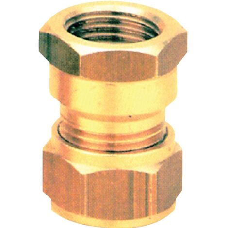 Raccord bicone laiton Fer/Cuivre droit F 8x13-6
