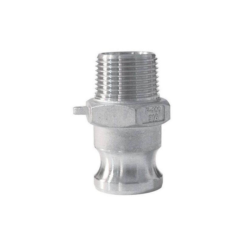 MULTITANKS Raccord camlock male - embout filet&eacute; male en inox - Type F &Oslash; A: 1''1/2&Oslash; B: 1''1/2