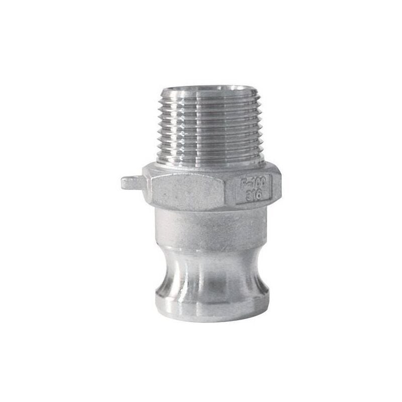 Raccord camlock male - embout fileté male en inox - Type f ø a: 2''Ø b: 2''