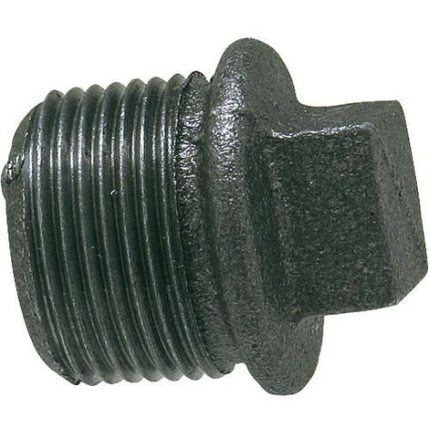 Raccord en fonte malleable, noir cache-vis avec bord 2" Type 290