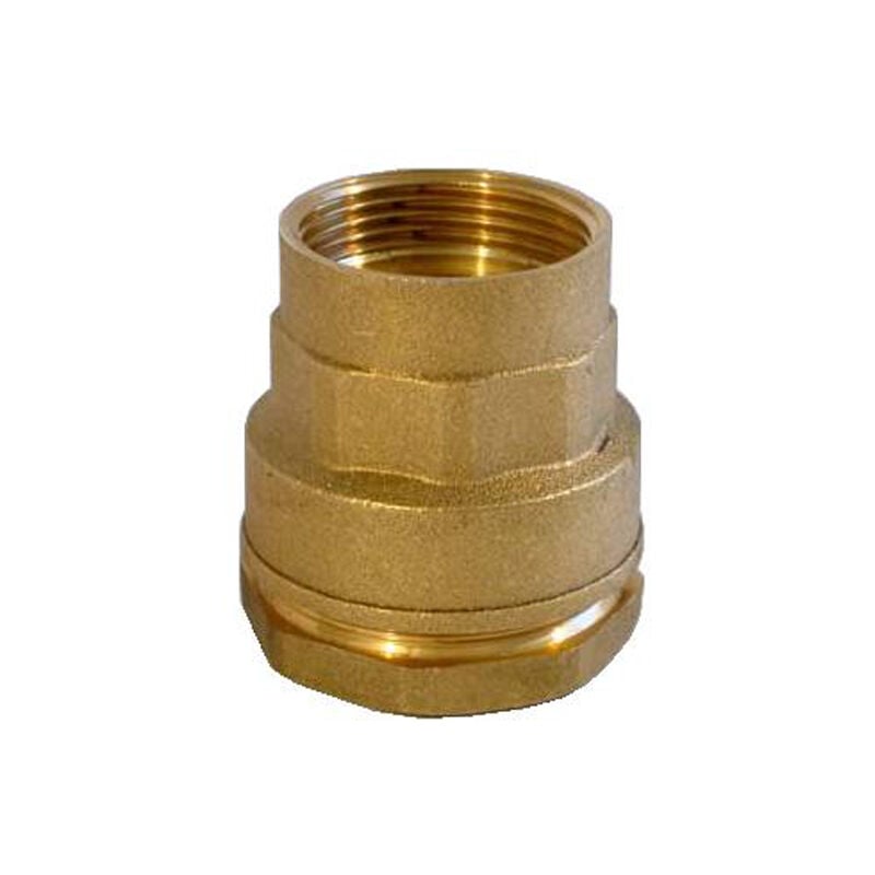 Raccord droit pe femelle - Diamètre : 50 - 1 1/2''