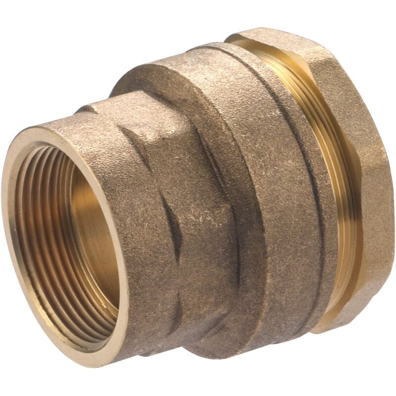 Raccord femelle laiton pour tuyau polyéthylène NOYON & THIEBAULT Ø50 - F40x49 (1' 1/2)