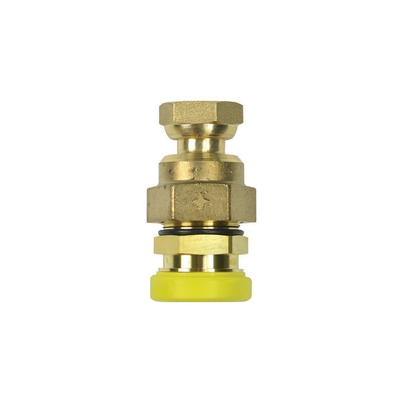 Chuchu Decayeux - rac plt dn15 f1/2 jpg clap