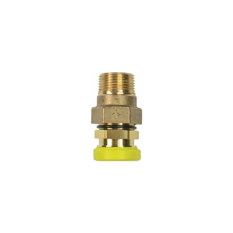 Raccord plt m dn20 r 1' clap