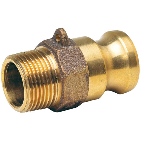 Raccord rapide à cames laiton adaptateur mâle F - 2'' (50/60)