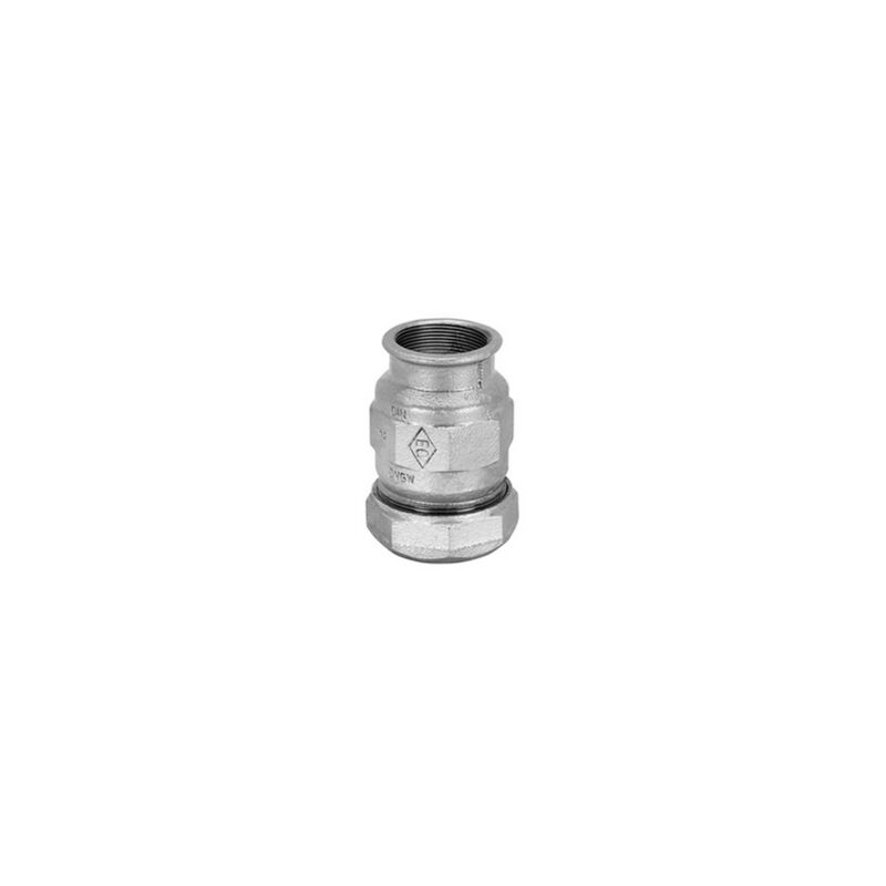 Raccord rapide femelle galvanisé 2'1/2