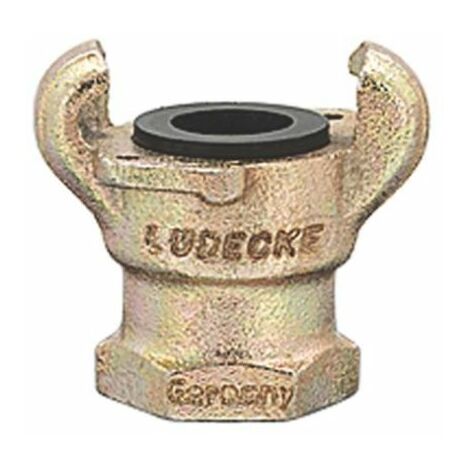 Raccord rapide pneumatique, Filetage vers Femelle NPT 1 Femelle 1pouce 1pouces en Fer ( Prix pour Sachet de 5 )