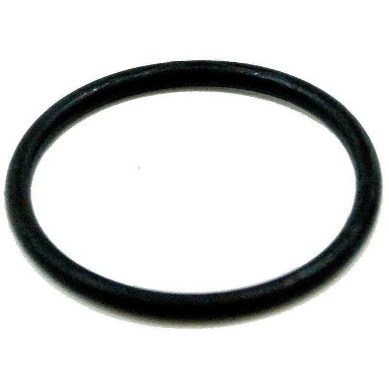 Raccordi O-ring Per Filtro Cintropur Nw18 / Nw25 / Nw32