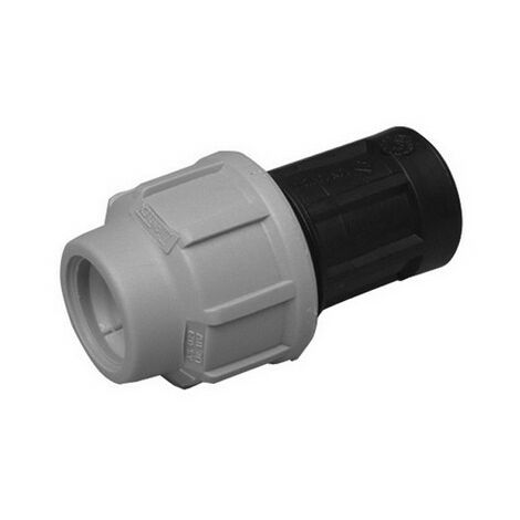 RACCORDO FEMMINA DIANFLEX PER POLIETILENE                              1 X 32  -F-BRICO