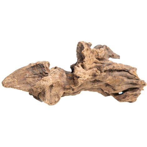 RACINE DE BOIS DENTÉE POUR DÉCORATION D'AQUARIUM 10-16 CM