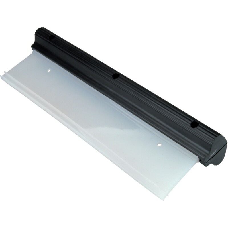 Raclette Silicone armor all