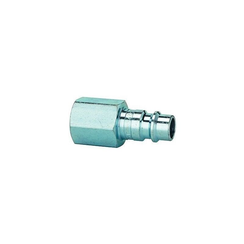 

Riegler - Racor Acero Niquel. Conector Macho Dn 7,2-7,8 Rosca Int. G 1