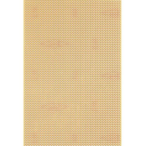 Rademacher WR-Typ 815-5 Circuito stampato Carta laminata (L x L) 160 mm x 100 mm 35 µm Passo 2.50 mm Contenuto 1 pz.