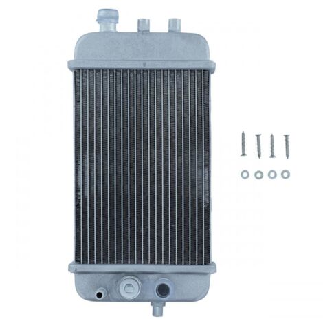 Radiateur de refroidissement P2R pour Moto Derbi 50 Senda Neuf