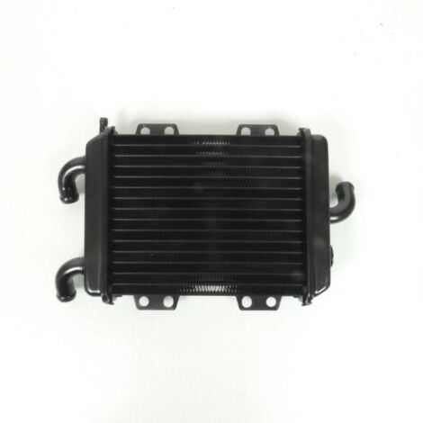Radiateur de refroidissement pour scooter Peugeot 125 Elyseo