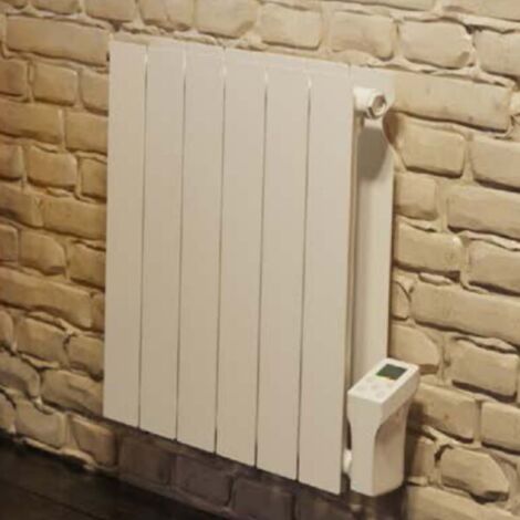 Radiateur électrique à fluide caloporteur 1000W THAJ XS - FINIMETAL 3633100