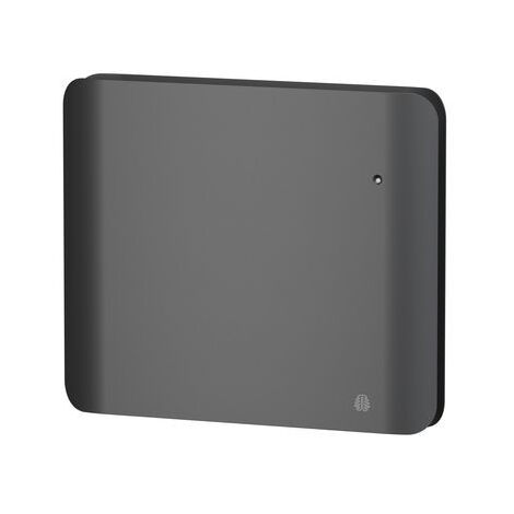 Radiateur Fonte NOIROT DOOK 1000W horizontal gris anthracite connecté NEN3363TCHS