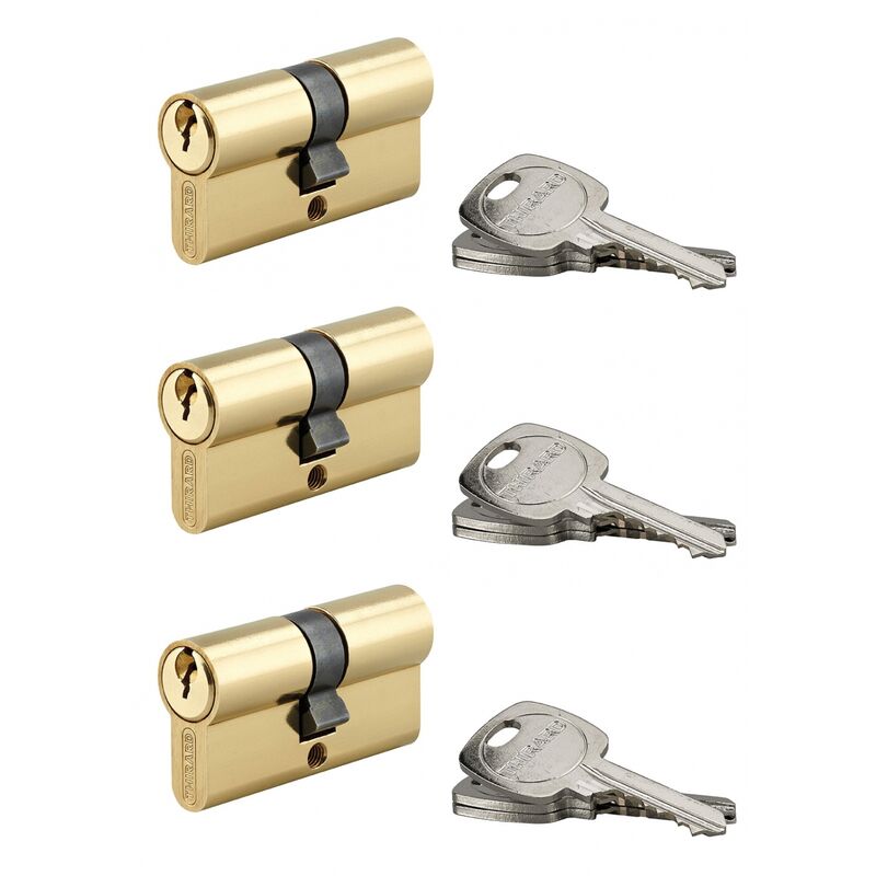 Image of Set di 3 cilindri europei per serrature a doppia entrata, 30x30mm, anti-sfilamento, ottone, 3 chiavi/cilindro - THIRARD