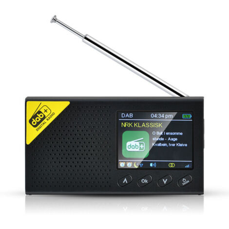 Radio DAB portatile - Bluetooth Stereo DAB - Radio digitale DAB+ - FM con batteria ricaricabile da 1200 mAh - Display LCD - Doppia sveglia e jack per cuffie da 3,5 mm