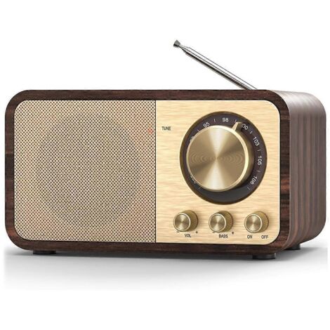 Radio FM avec réception, radio transistor Bluetooth avec haut-parleur 5 W (voir photo)