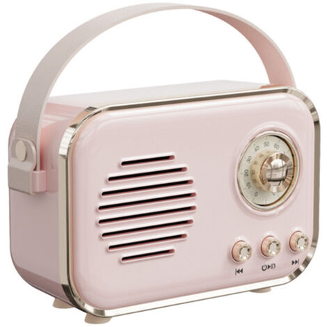 Radio FM portatile, audio wireless Bluetooth, karaoke, scheda TF, riproduzione FM, altoparlante bassi alta fedeltà