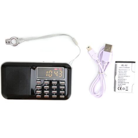 Radio MP3 Portable Mini avec Subwoofer - Haut-parleur Basse pour Personnes Âgées, Noir