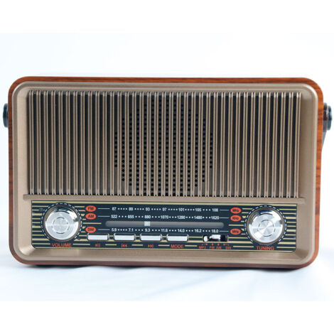 Radio portable multibande FM/AM Bluetooth avec batterie 1800 mAh – Autonomie 7h – Lecteur USB pour musique sans fil
