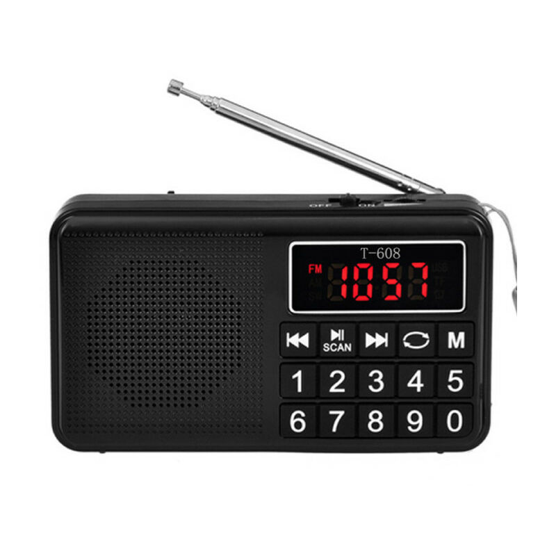 Radio Portable - Radio fm -avec Batterie Rechargeable de Grande Capacité,Prise en Charge MP3 - Lablanc