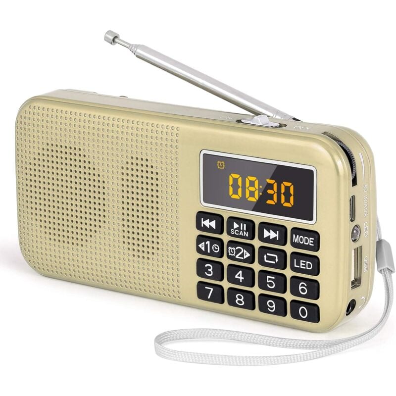 Radio Portable, Radio fm avec Batterie Rechargeable de Grande Capacité (3000mAh), Prise en Charge MP3 / SD/USB/AUX,Or