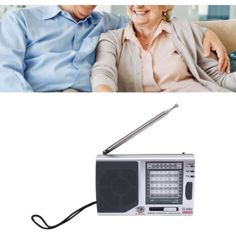 Radio portátil plateada – Radio AM/FM/SW de alta sensibilidad, calidad de sonido HiFi, recepción de banda completa con altavoz – [Aleación de aluminio, 12 x 7,5 x 2,5 cm, AA x 2]