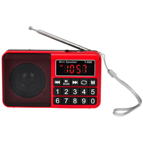 Radio portatile FM/AM(MW)/SW/USB/Micro-SD/MP3, radio con pulsanti grandi e schermo grande, batteria ricaricabile da 1200 mAh (nero)