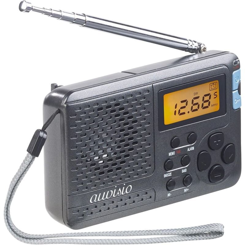 Radio : récepteur Mondial à 12 Bandes FM/MW/KW, avec réveil et minuterie de Mise en Veille (Mini radios, Radio de Poche, Radio analogique de Poche)
