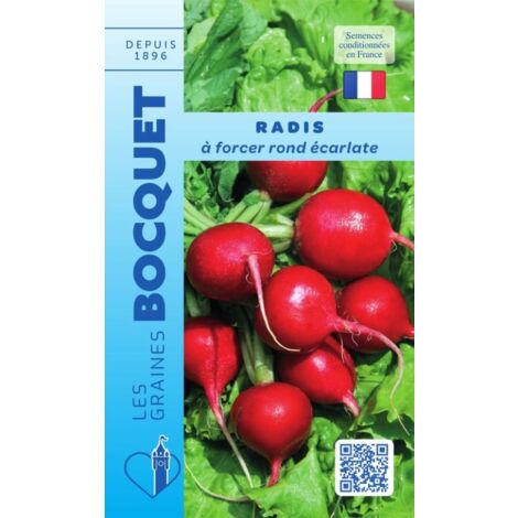 Radis à forcer rond écarlate - 10g