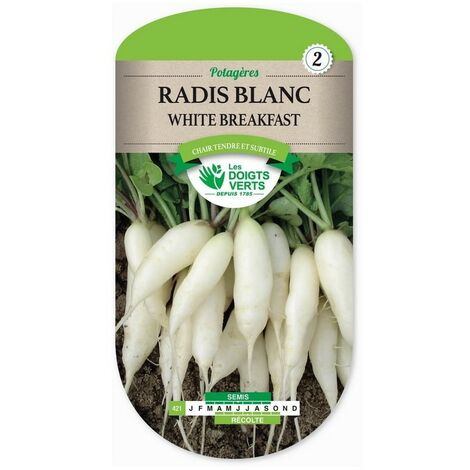 Radis Blanc White Breakfast