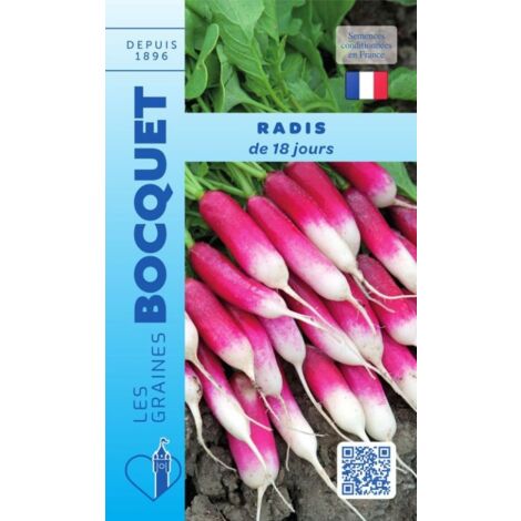Radis de 18 jours - 10g