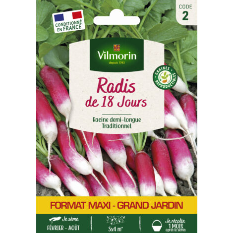 Radis de 18 Jours - Grand Modèle Vilmorin