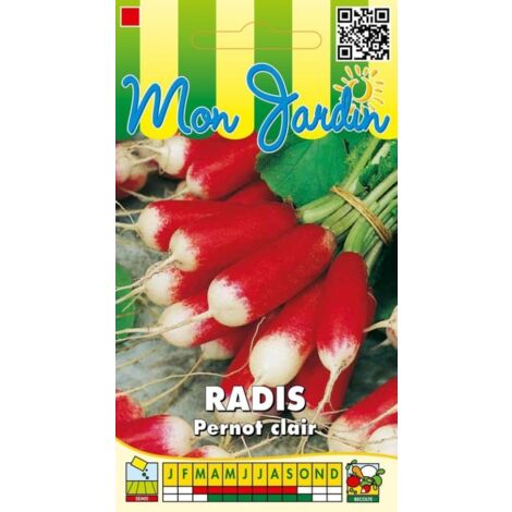 Radis Pernot clair - 10g