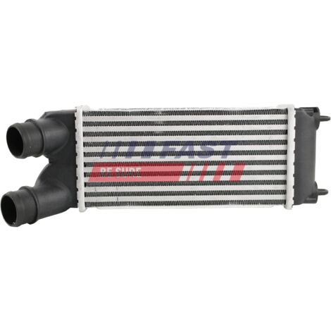 Raffreddatore ad aria FT55575 veloce