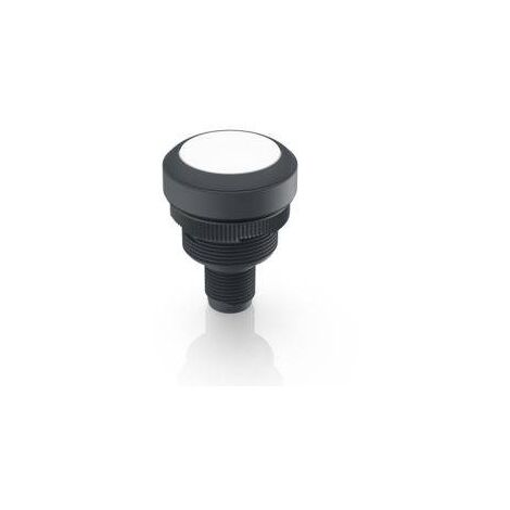 RAFI 1.10.011.201/0201 RAMO 22 T Bouton-poussoir 35 V/DC 0.1 A à rappel (L x l x H) 40 x 29.8 x 29.8 mm 1 pc(s) V301883