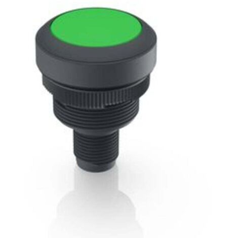 RAFI 1.10.071.001/0551 Voyant lumineux vert 1 pc(s) V303683
