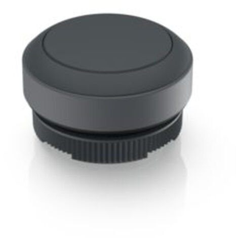 RAFI 1.30.270.001/0101 RAFIX 22 FS Drucktaster    tastend  (L x B x H) 29.8 x 29.8 x 18.5 mm  1 St.