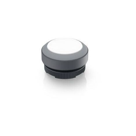 RAFI 1.30.270.001/2208 RAFIX 22 FS Bouton-poussoir lumineux à rappel à rappel (L x l x H) 29.8 x 29.8 x 18.5 mm 1 pc(s) V303793