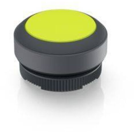 RAFI 1.30.270.001/2401 RAFIX 22 FS Bouton-poussoir lumineux à rappel à rappel (L x l x H) 29.8 x 29.8 x 18.5 mm 1 pc(s)