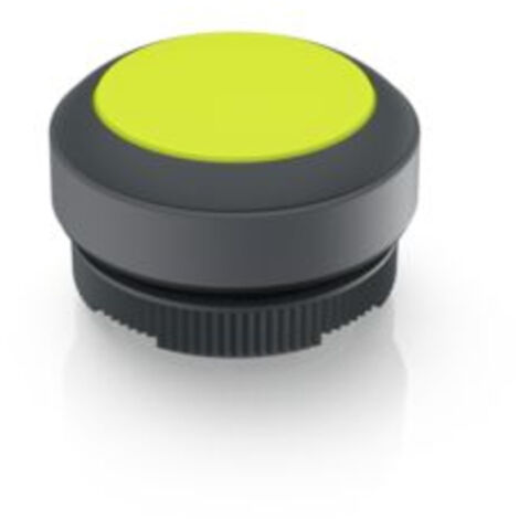 RAFI 1.30.270.001/2401 RAFIX 22 FS Leuchtdrucktaster    tastend  (L x B x H) 29.8 x 29.8 x 18.5 mm