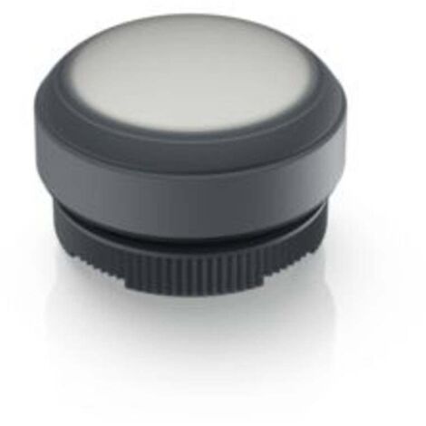 RAFI 1.30.270.005/2201 E-BOX IO-LINK Bouton-poussoir lumineux à rappel à rappel (L x l x H) 29.8 x 29.8 x 20.7 mm 1 pc(