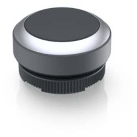 RAFI 1.30.270.021/0100 RAFIX 22 FS Bouton-poussoir à rappel (L x l x H) 29.8 x 29.8 x 18.5 mm 1 pc(s)