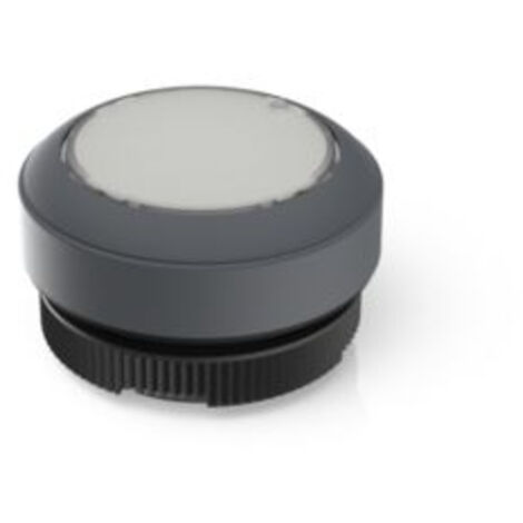 RAFI 1.30.270.901/2207 RAFIX 22 FS Leuchtdrucktaster    tastend  (L x B x H) 29.8 x 29.8 x 18.5 mm