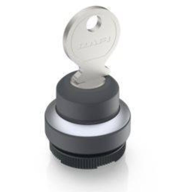 1.30.275.102/0000 x 22 fs+ Commutateur à clé 2 x 40 ° 1 pc(s) - Rafi